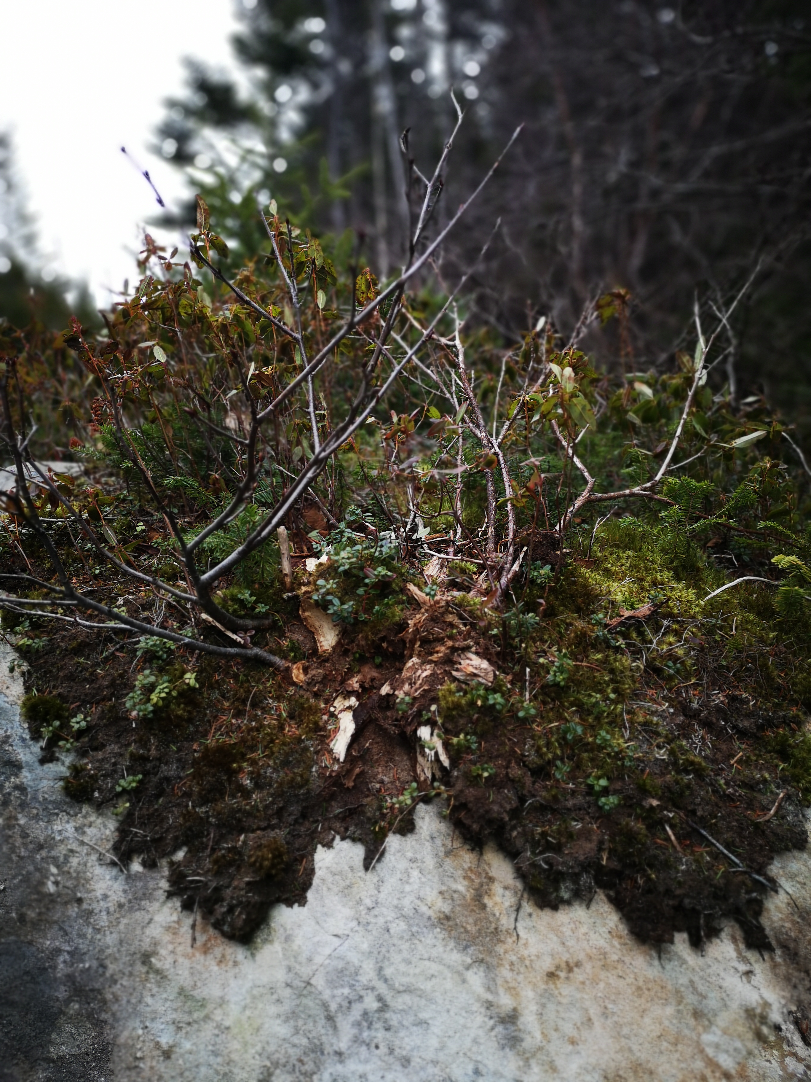 Transit glow — motion and warm interiors.